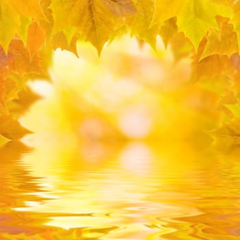 Beautiful golden leaves in autumn with reflection