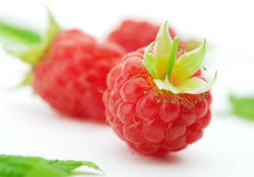 Raspberries with green leaves on white background