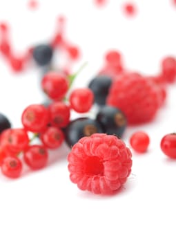 Spilled  mixed berries on white background whith a raspberry  in the foreground in focus.