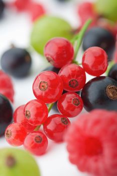 Spilled  mixed berries on white background whith a raspberry  in the foreground in focus.