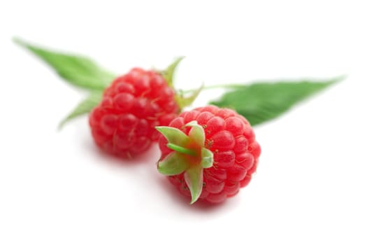 Two raspberries with green leaves on white background 