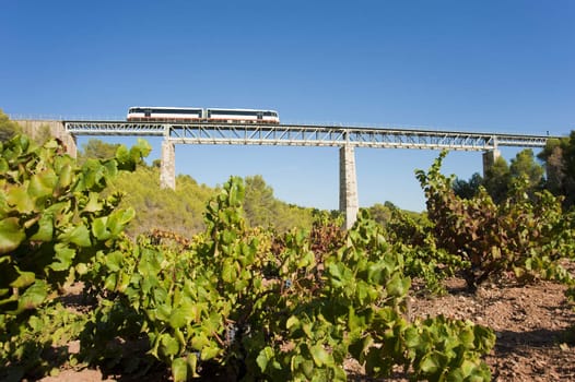 Narrow gauge train crossing a scenic bridge