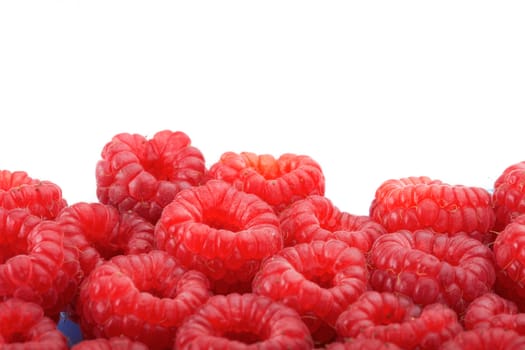 Raspberries on white background