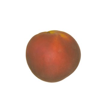 Peach on white background