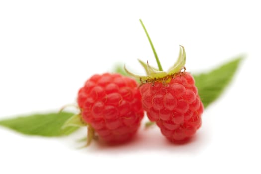 Two raspberries with green leaves on white background 