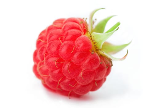 Raspberry with green leaves on white background