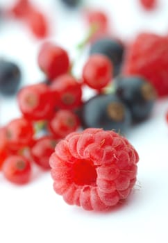 Spilled  mixed berries on white background whith a raspberry  in the foreground in focus.