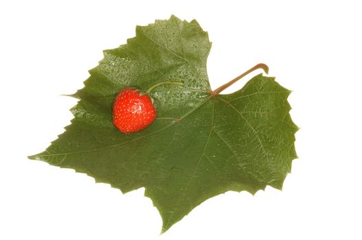 Leaf of grape with berry of the strawberries on white background