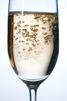 Glass of Champagne with a bubbles. Closeup view