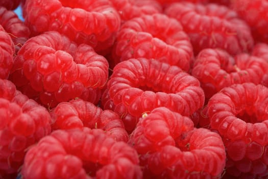 Raspberries. This image is focused on one of them