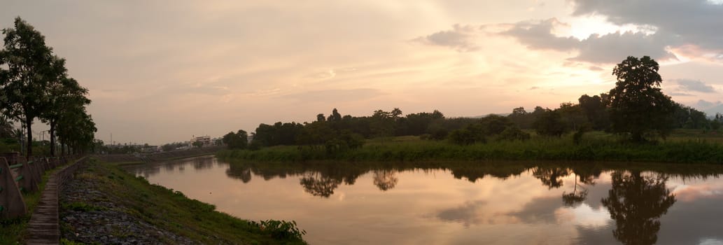 a picture of beautiful tree and lake