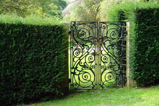 Classical design black wrought iron gate in a beautiful green garden