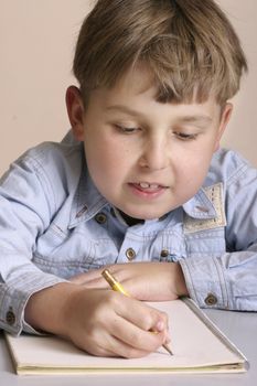 Schoolwork or homework, study, tuition, education.
