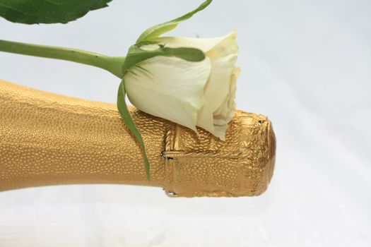 A white rose on a champagne bottle