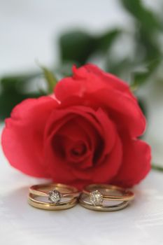 Two bridal sets and a red rose for two brides in a same sex wedding
