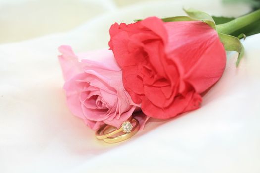 A wedding band and a diamond solitaire engagement ring with two roses on the background