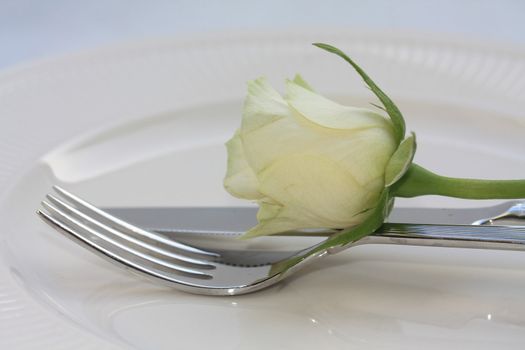 A fork and knife and a white rose, perfect for a dinner invitation