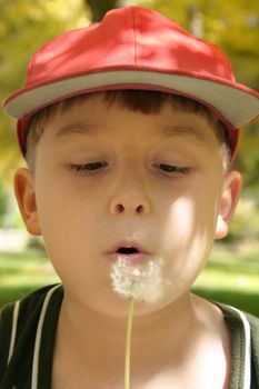 Young boy in filtered light blows seeds away. very shallow dof