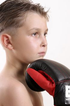 Young Boxer rests his chin on glove