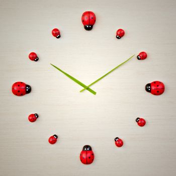 An image of a beautiful ladybird clock