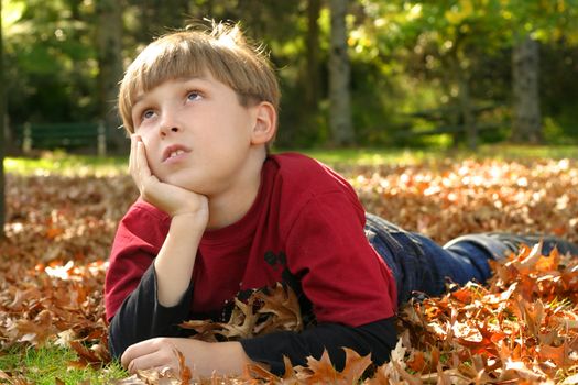 Child resting in a park amongst autumn leaf fall.