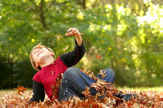 A child falls backwards in autumn foliage. 