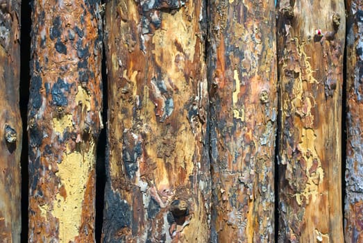 The olden grunge wooden rough boards background