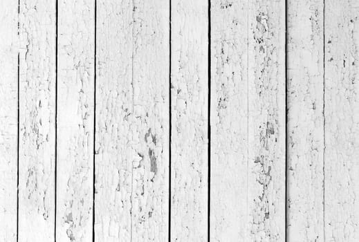 the background of weathered white painted wood