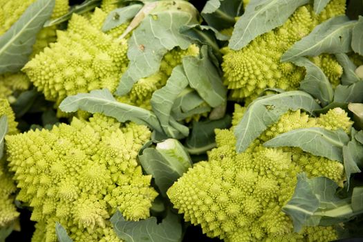 "Cimoni" a type of cabbage  from Italy, on a market stall