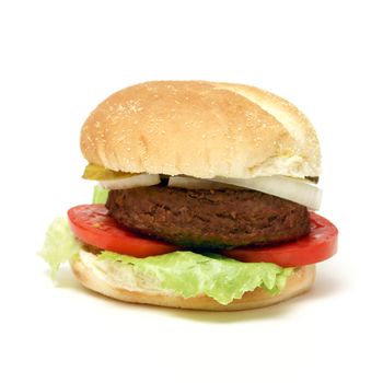 An isolated shot of a fresh beef hamburger.