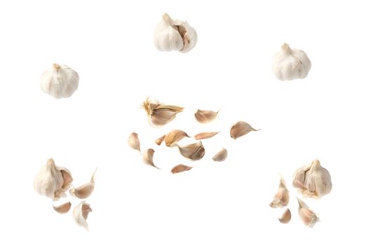 Collection of garlic images isolated against white background.