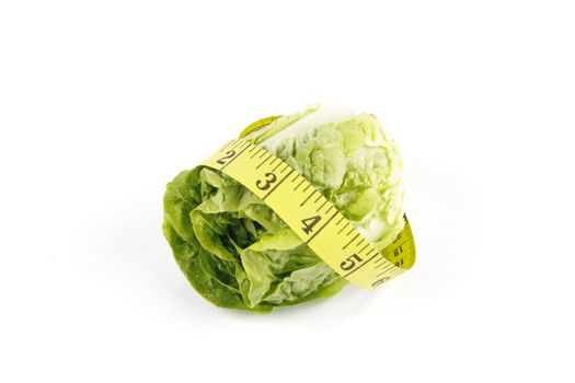 Small single fresh green salad lettace and yellow tape measure on a reflective white background