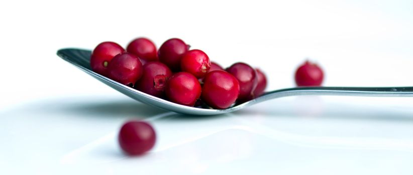 Cranberries