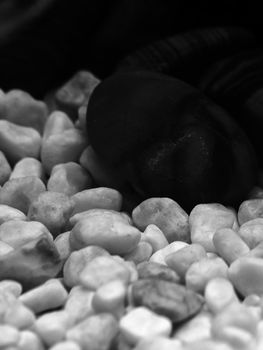 Gravel and pebbles in freshwater aquarium