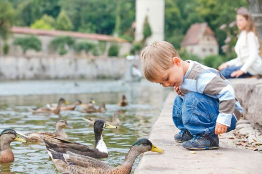 Cute little boy feeding ducks in the pond in a city park. Germany