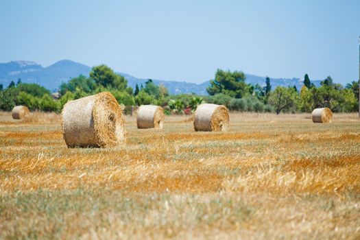 Yellow haystack on a field. Majorca, Spain