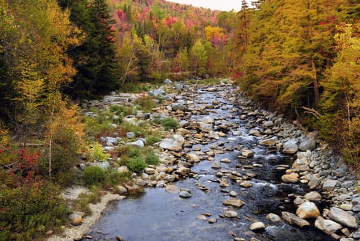 A stream of water gushing through the mountains