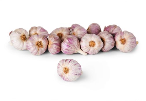 Single head of garlic in front of many others on white background