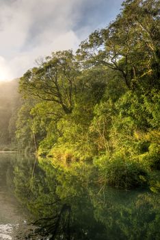 Nature scenic of lake with mist in forest.