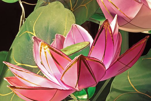 lantern of lotus blossom bunch in a festival 