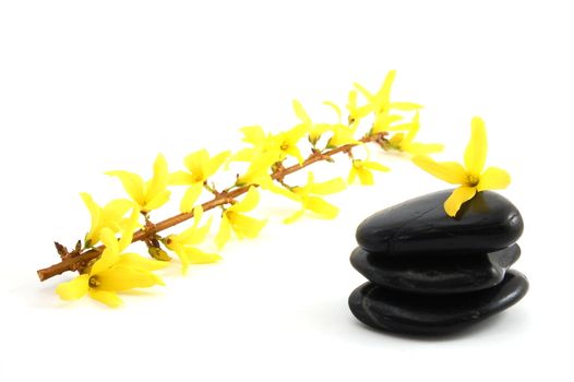 flowers in the bathroom showing spa or wellness concept