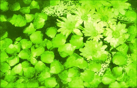 Painted Flowers Background Grunge Creative as Art