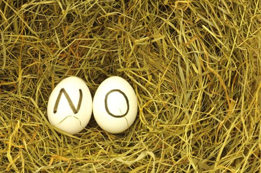 no written on eggs in green hey or straw