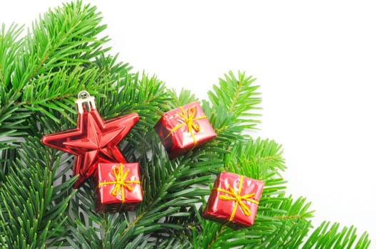 green fir for christmas with blank and empty copyspace