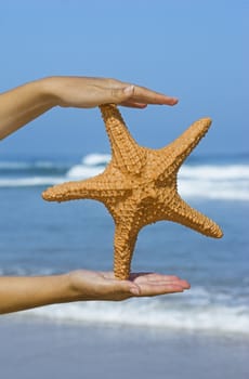 Close up of female hands with a starfish