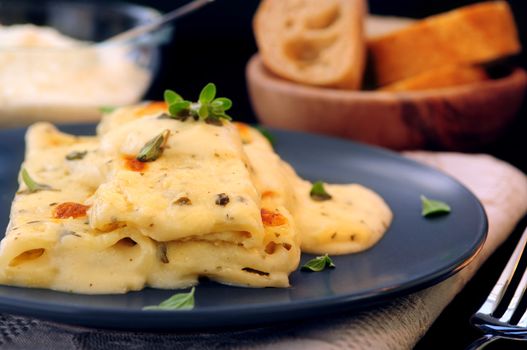 Cheese cannelloni pasta served on a plate with alfredo sauce