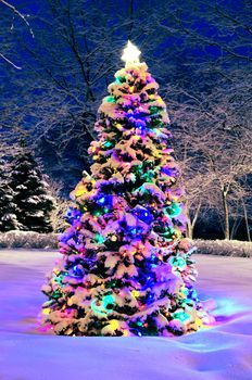 Decorated christmas tree outside with lights covered with snow