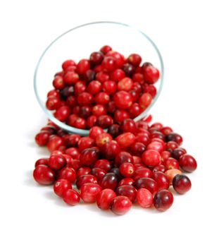 Fresh red cranberries in a glass bowl on white background