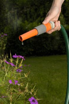 Drought! A hosepipe with just a drip of water coming out of the nozzle. Space for text on the datk background, framed by the pipe.