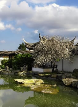 Details of an authentic Asian garden      
